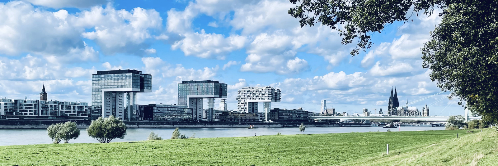 mibeg Wirtschafts- und Unternehmensberatung: Köln Panorama